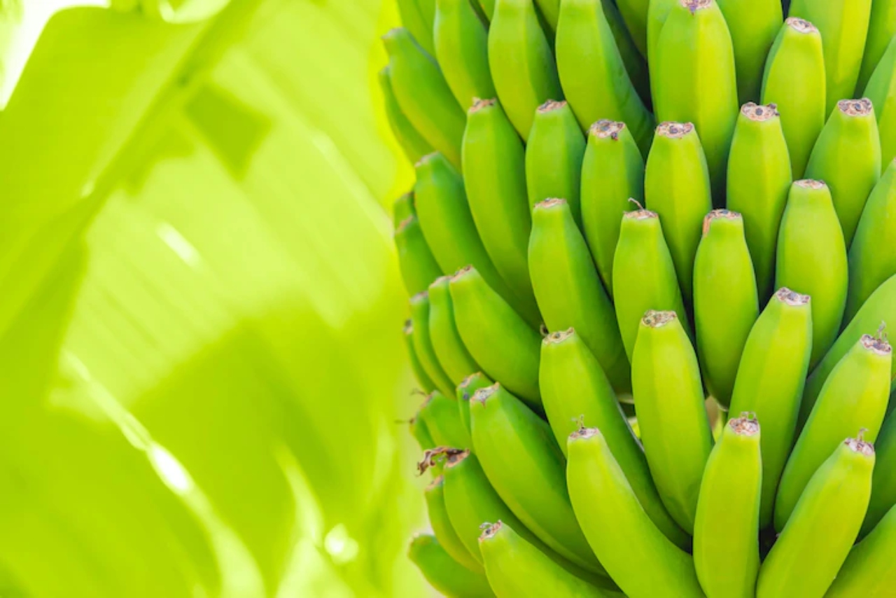 هل يمكن أن يقدم الموز الأخضر فوائد صحية