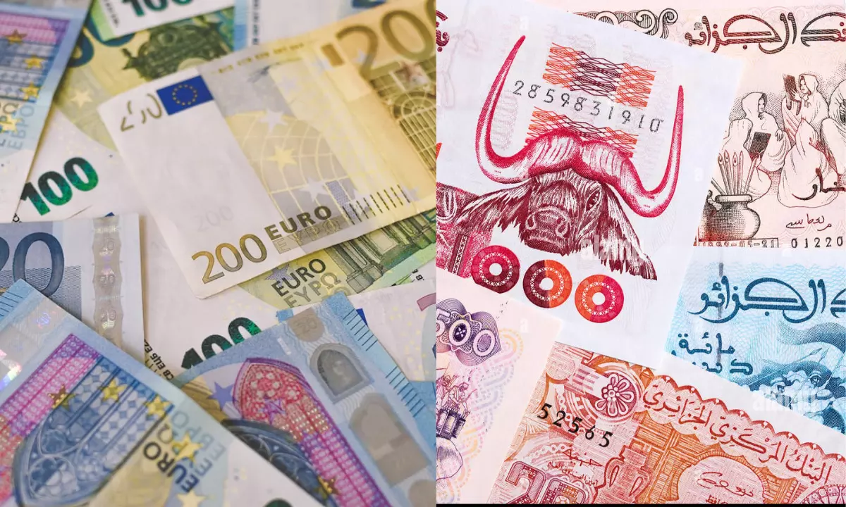 سعر الأورو بالدينار الجزائري في السوق السوداء اليوم الجمعة 5-11-2022