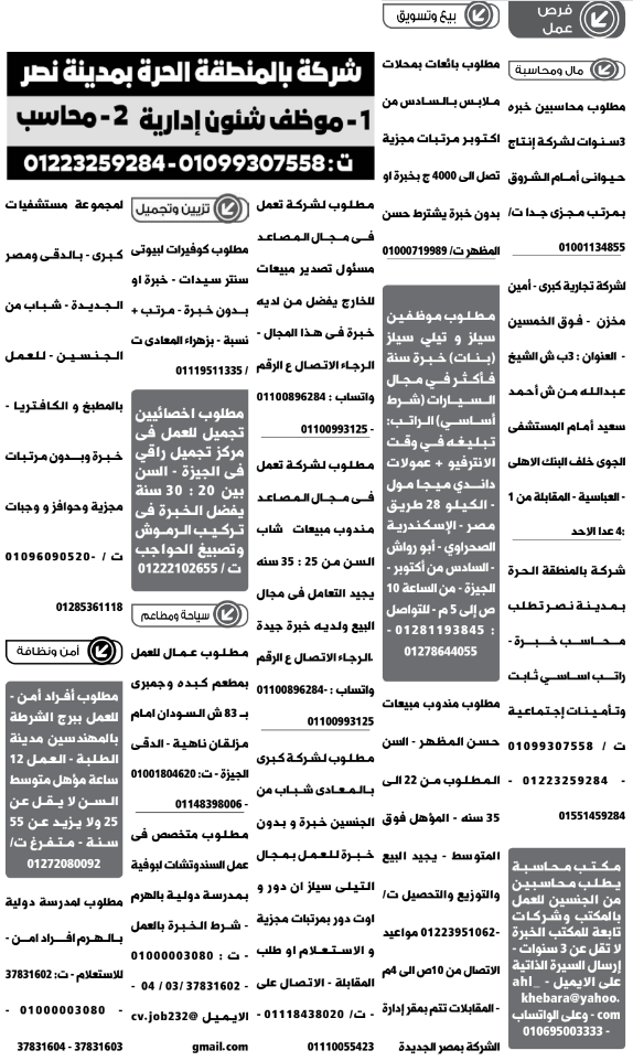 إعلانات وظائف جريدة الوسيط اليوم الجمعة 4/11/2022 6