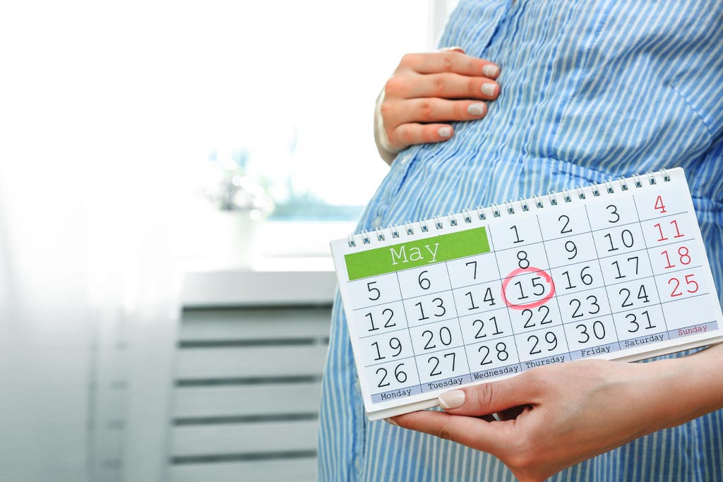 Калькулятор декретного отпуска по беременности 2024