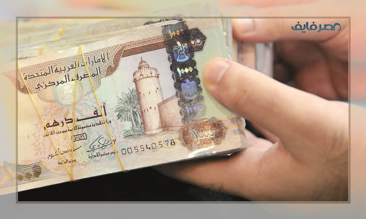 سعر الدرهم الاماراتي اليوم مقابل الجنيه في مصر 2022/11/13