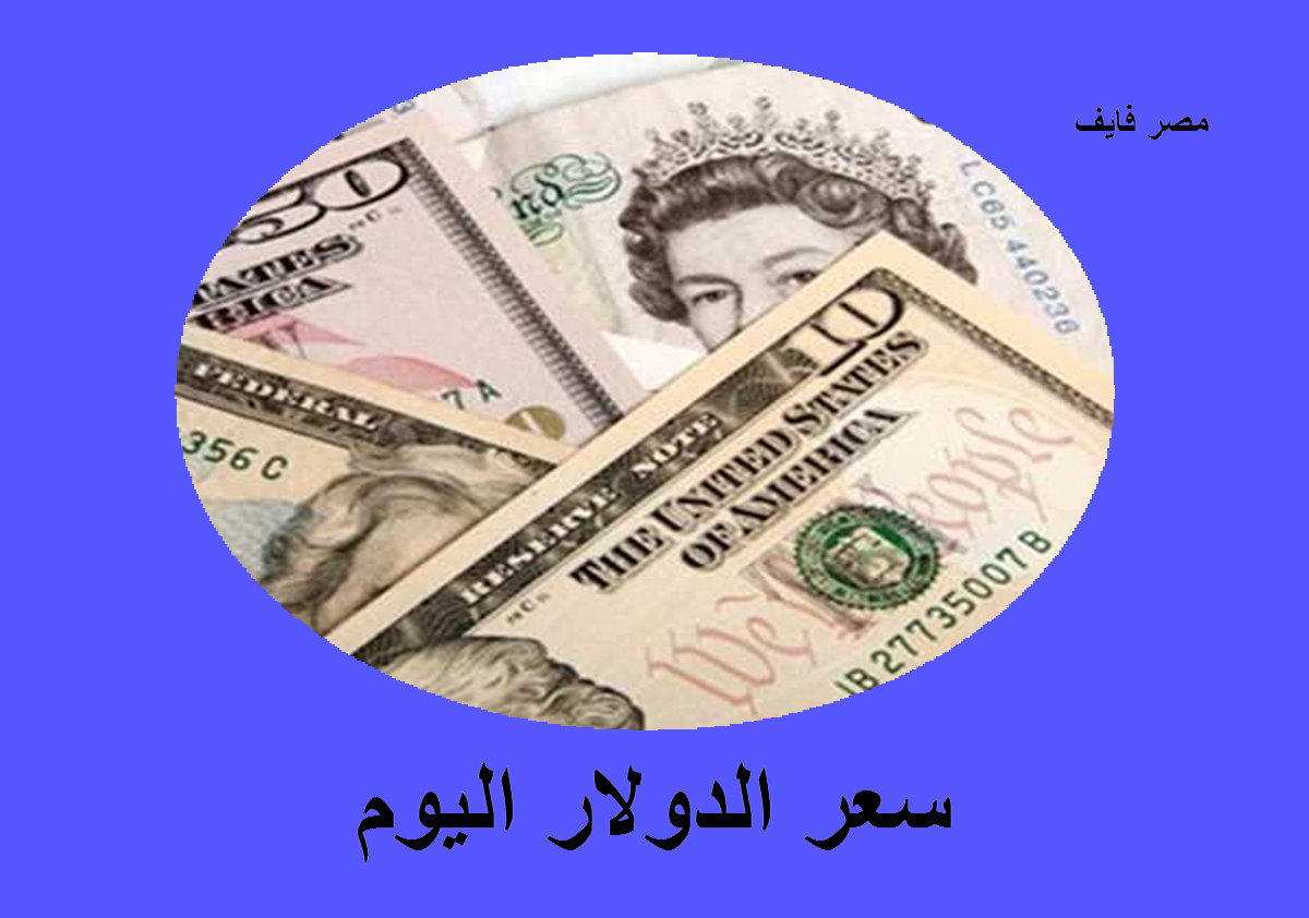 سعر الدولار اليوم الاثنين 28 نوفمبر 2022 هنا أسعار العملات الأجنبية والعربية محدثة $