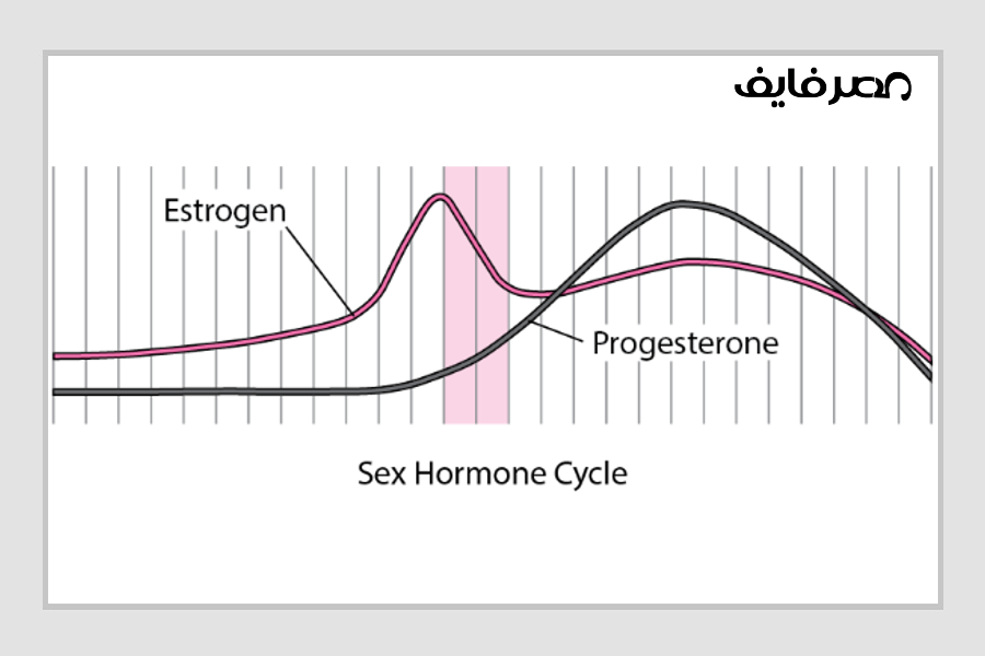 ciclo de hormonas sexuales