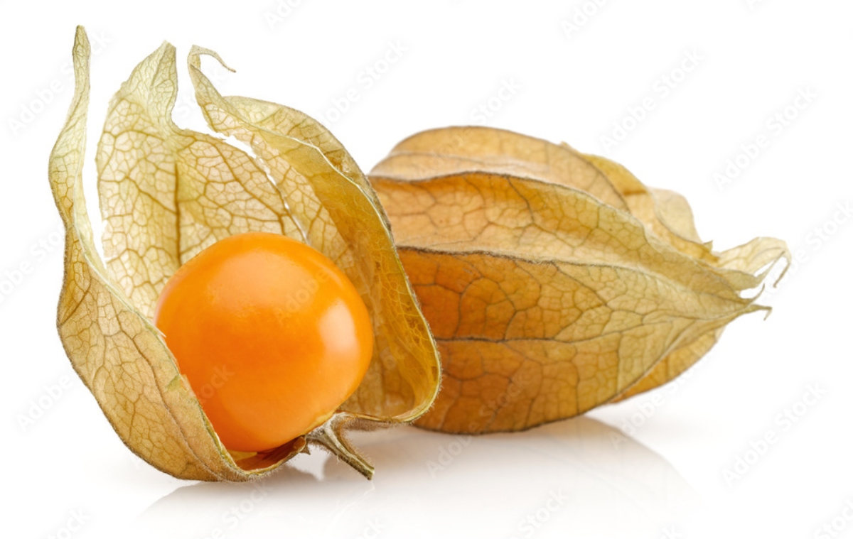 ما هي فاكهة التوت الذهبي “الحرنكش”؟ التغذية والفوائد والآثار الجانبية المحتملة