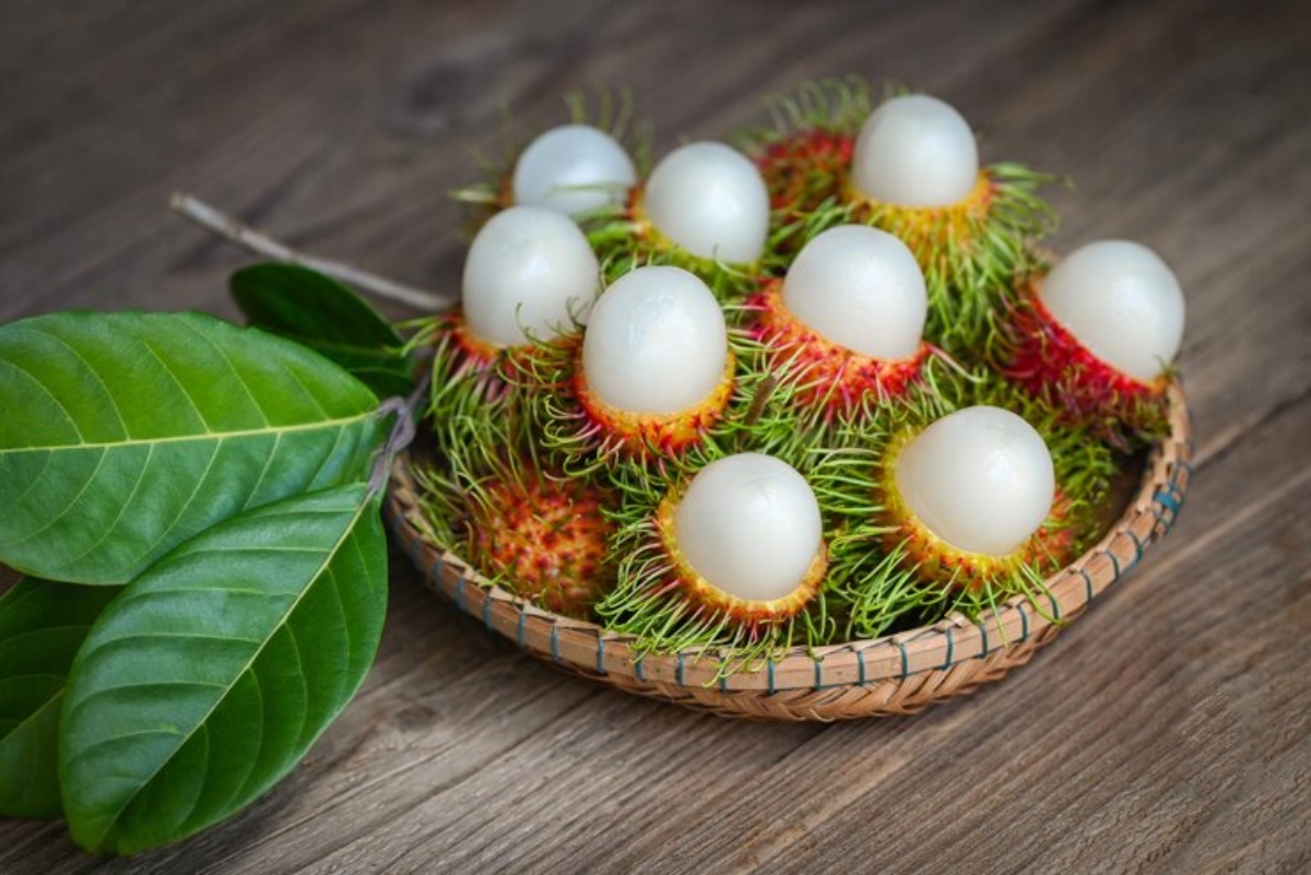 رامبوتان.. فاكهة لذيذة و فوائدها الصحية تتراوح من فقدان الوزن وتحسين الهضم والمزيد