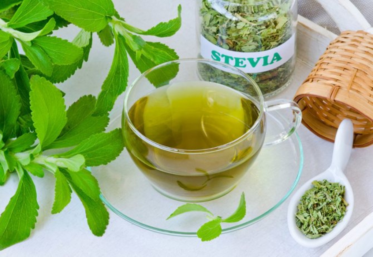 Зеленый чай при диабете можно. Стевия сахарозаменитель растение. Стевия медовая травка. Стевия ребаудиана. Стевия усимлиги.