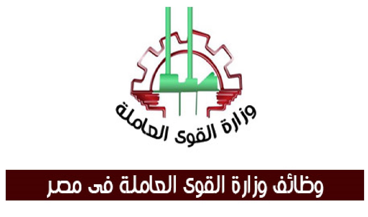 وزارة القوى العاملة والهجرة تعلن عن وظائف خالية بالإسكندرية لحملة المؤهلات المتوسطة