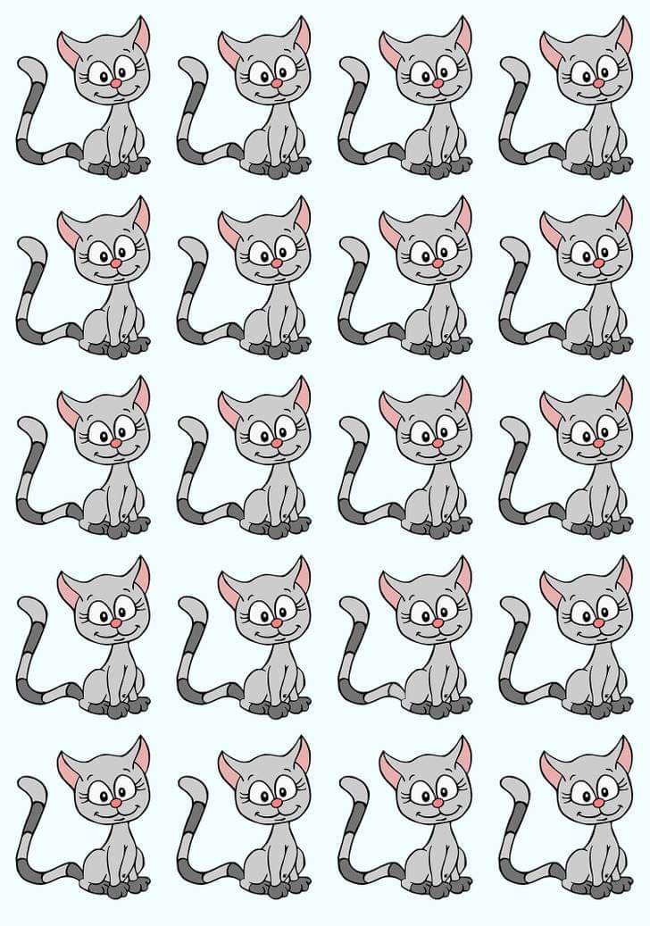 لغز للعباقرة فقط.. أوجد القطة المختلفة في الصورة خلال 15 ثانية فقط