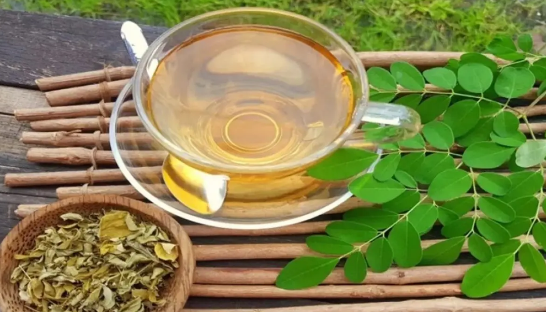 تجربتي مع فوائد شاي المورينجا لصحة الجسم والآثار الجانبية