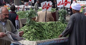 أرخص سوق في مصر سوق المنيرة لبيع اللحوم والفراخ والأسماك والخضار ومفاجأة في سعر الدواجن
