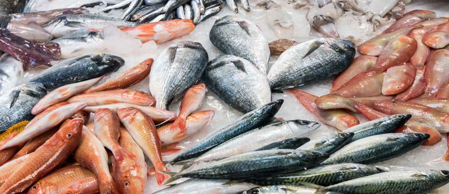 أسعار السمك والجمبري اليوم السبت 11 مارس