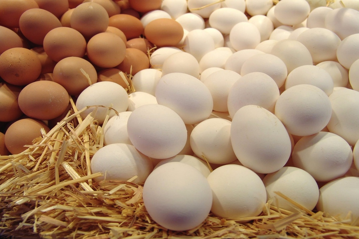 مفاجأة سارة في أسعار البيض الآن قبل رمضان