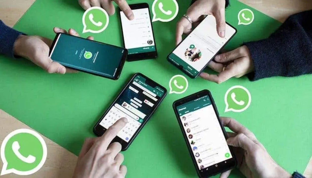تحديث WhatsApp يضيف تغيير طفيف على “حول النص” في قائمة جهات الاتصال