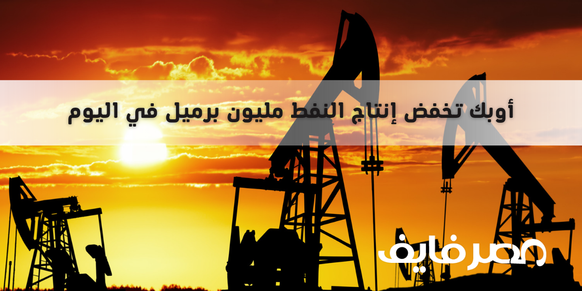 أوبك تخفض إنتاج النفط