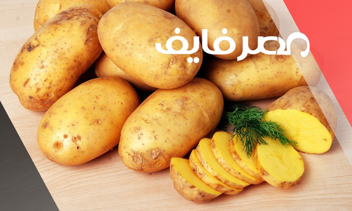 أسعار البطاطس فى الاسواق المصرية