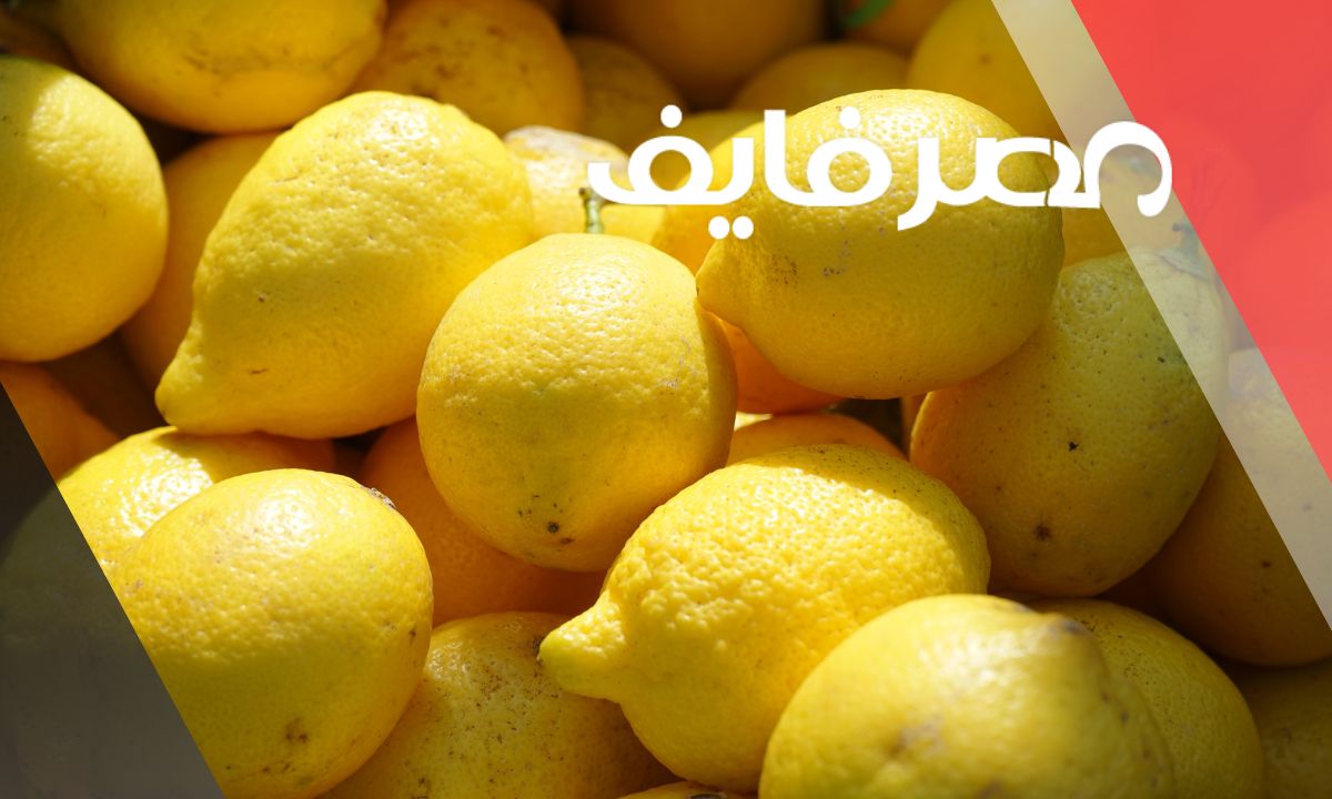 أسعار الليمون البلدي اليوم فى الاسواق المصرية