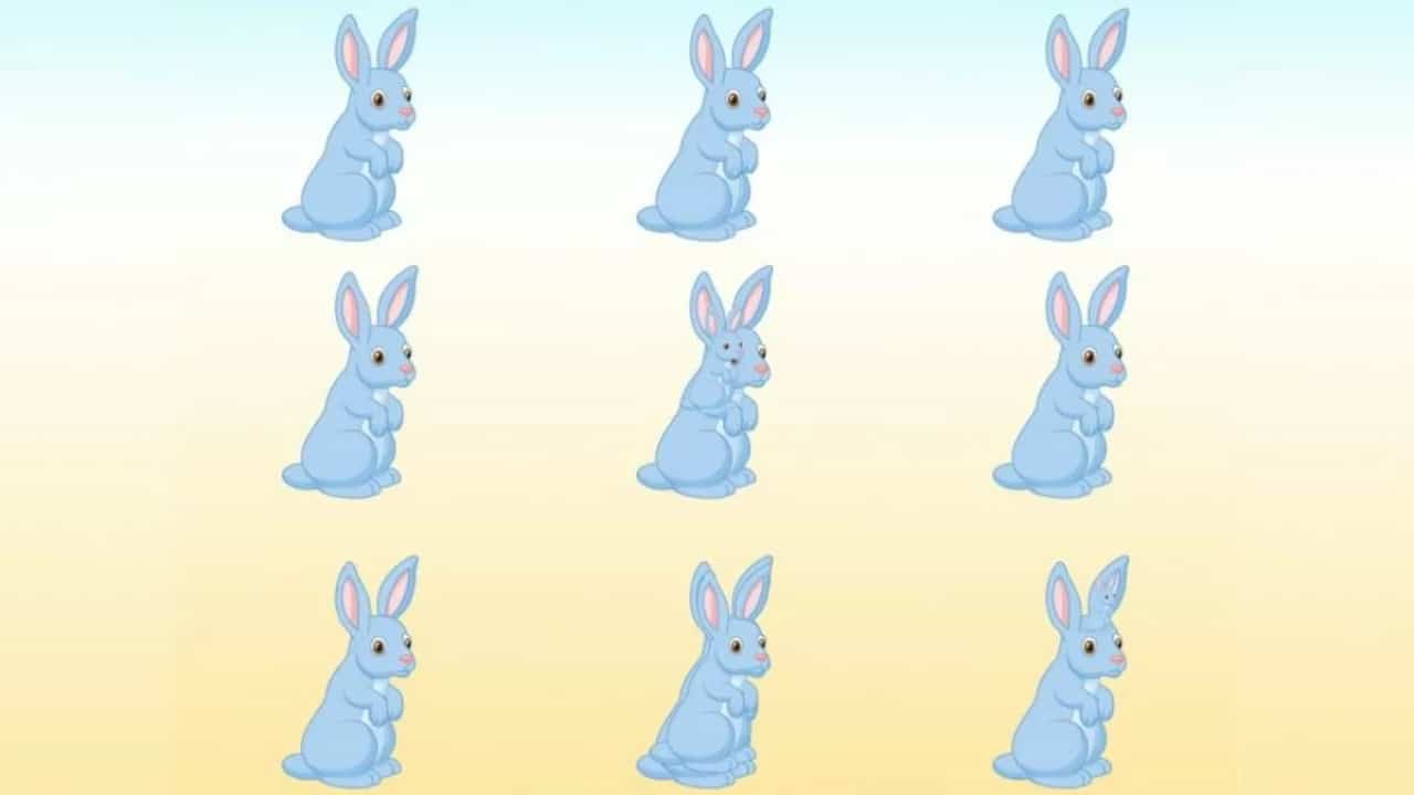 اختبار الذكاء.. هل يمكنك تحديد عدد الأرانب الموجودة في الصورة في غضون 11 ثانية؟