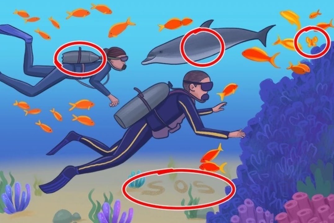 IQ test..Can you spot 4 bugs hidden inside a diving photo in 13 seconds?