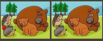 لعبة حل لغز اكتشاف الاختلاف.. هل يمكنك تحديد 5 اختلافات بين صور الدب والقنفذ في 15 ثانية؟