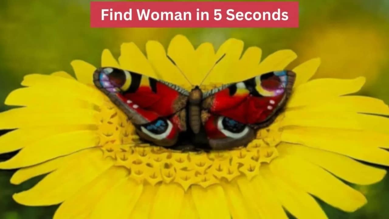 خداع بصري.. 97٪ من الناس سيفشلون في اكتشاف المرأة في 5 ثوان
