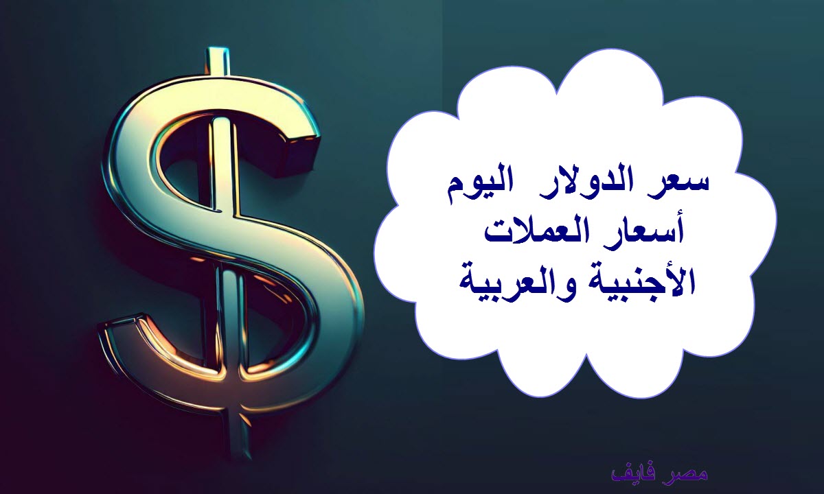 أسعار الدولار مقابل الجنيه المصري اليوم الأحد 20 أغسطس 2023