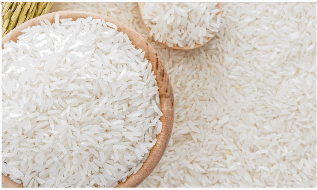 مفاجأة غير متوقعة في سعر الأرز الشعير الآن نزل لـ 16 جنيه للكيلو