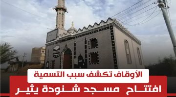 جدل على السوشيال ميديا.. مسجد شنوده وكنيسة خاتم المرسلين اعرف القصة كاملة