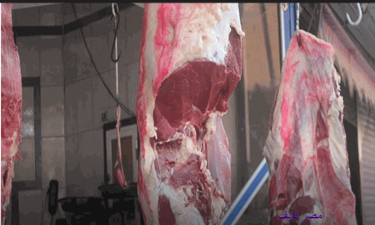 وزارة الزراعة تعلن عن بيع اللحوم البلدي بسعر 225 جنيه للكيلو في كافة الفروع بالمحافظات