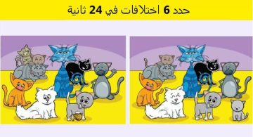 اكتشف الفرق.. يمكن فقط لمن لديه رؤية 10/10 أن يكتشف 6 اختلافات في صورة القطط خلال 24 ثانية