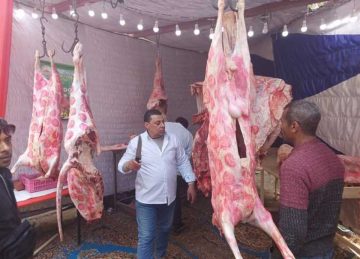 أسعار اللحوم وأضاحي العيد والماشية الحية اليوم في مصر