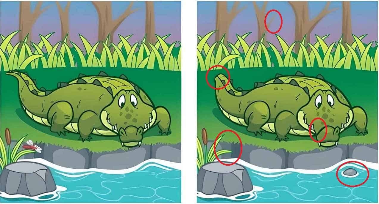 تحدي اكتشاف الفرق: هل يمكنك تحديد 5 اختلافات بين صورتي التمساح في 13 ثانية؟ 1