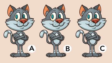 لغز لاختبار معدل الذكاء.. يمكن لشخص واحد فقط من بين 5 أشخاص معرفة أي قط مختلف في الصورة خلال 10 ثوانٍ؟