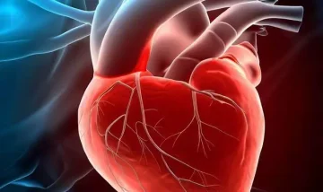 أسباب ضربات القلب السريعة بدون مجهود وكيف تتخلص من دقات القلب السريعة ؟