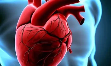 أعراض حدوث مشاكل في القلب | و نصائح مهمة للحفاظ على صحة القلب لا تهملها