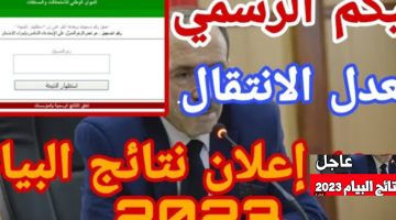 رابط نتائج البيام الجزائر نتائج التعليم المتوسط 2025