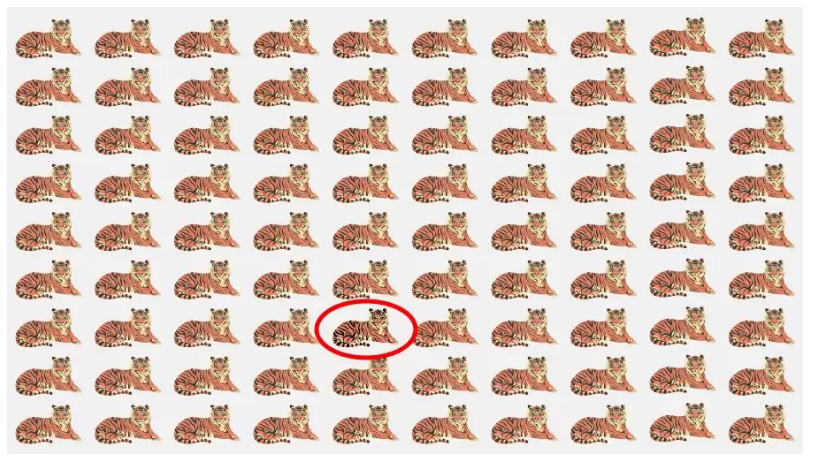 لغز صعب للأذكياء.. هل يمكنك العثور على نمر بين مجموعة الكلاب في 9 ثوانٍ؟ 8