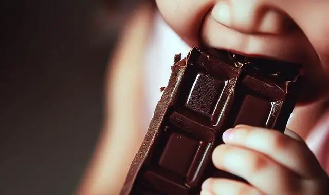 فوائد الشوكولاتة للنساء وتأثير تناول الشوكولاتة الداكنة على الجسم