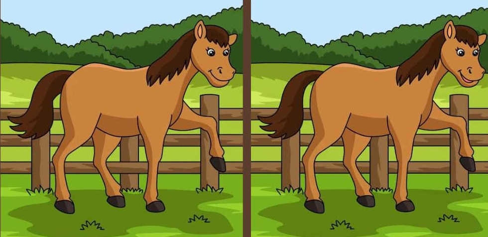 حدد 3 اختلافات بين صورتي الحصان في 10 ثوانٍ