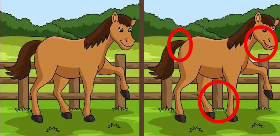 حدد 3 اختلافات بين صورتي الحصان في 10 ثوانٍ