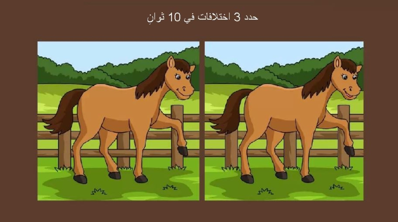 اكتشف الفرق.. حدد 3 اختلافات بين صورتي الحصان في 10 ثوانٍ