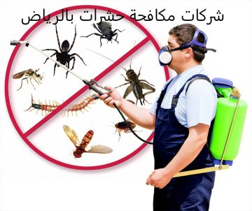 شركات مكافحة الحشرات بالسعودية: الخبرة والجودة والضمانات للحصول على بيئة صحية خالية من الحشرات