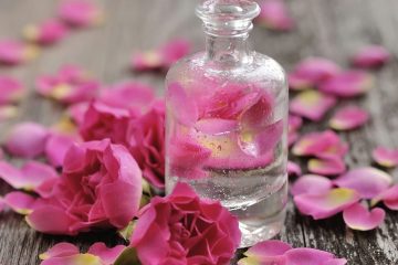 فوائد شرب ماء الورد المذهلة للبشرة وللقدرة الجنسية وتكبير حجم الثدي