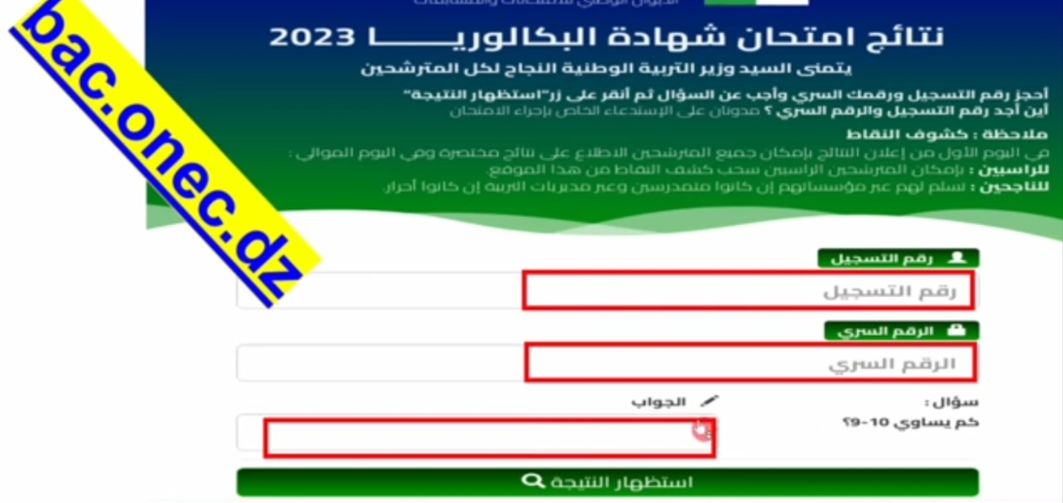 لينك نتائج البكالوريا الجزائر 2023 وكيفية الإستعلام مجانا