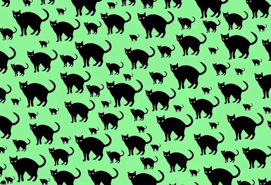 تحدي الوهم البصري: اختبر رؤيتك واعثر على الفأر المخفي بين القطط في 8 ثواني