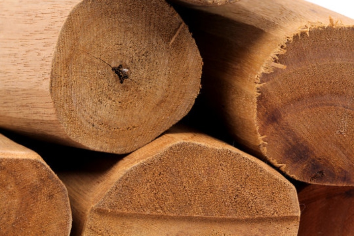 هل سمعت عن زيت خشب الصندل؟ نادر برائحته العطرة وفوائد صحية محتملة