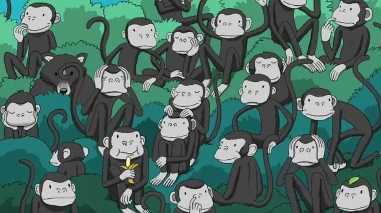 تحدي الخداع البصري: اعثر على دب بين القرود في 4 ثواني