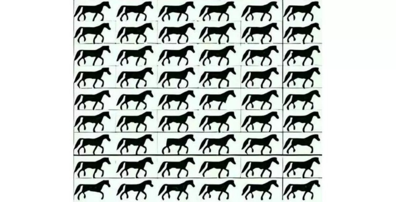 خدعة بصرية لاختبار الرؤية: اعثر على الحصان مقطوع الذيل في 5 ثواني