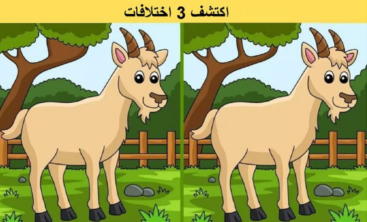 لغز اكتشف الفرق.. اكتشف 3 اختلافات بين صور الماعز في 13 ثانية