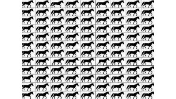 الوهم البصري لاختبار الذكاء: أقوياء الملاحظة فقط يمكنه اكتشاف الخيول ذات الثلاث أرجل في 15 ثانية