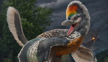 اكتشاف ديناصور “يشبه الطيور” يثير حيرة العلماء